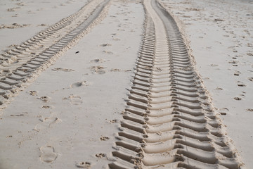tire tracks on sand beach desert background texture