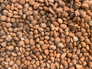 Brown pebbles stone texture and background on top view