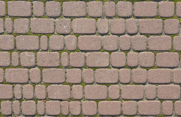 Brown concrete paving texture. Background for the sidewalk: rectangular tile with moss-covered seams
