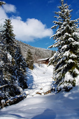 winter landschaft in den österreichischen alpen