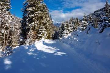 winter landschaft in den österreichischen alpen