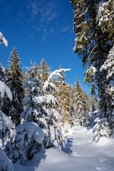 winter landschaft in den österreichischen alpen