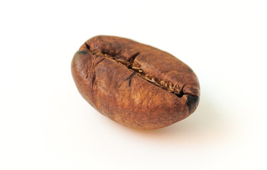 coffee beans in the detail close up