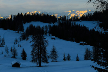 Alpenglühen in der blauen Stunde im winterlichen Südtirol - Aramentara Wiesen im Restlicht mit...