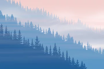 Aluminium Prints Forest in fog Coniferous forest in the fog, natural background, vector illustration, EPS10