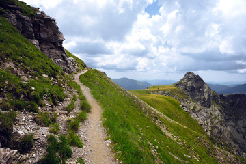 path at the mountains