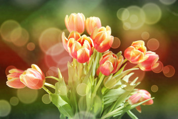 Beautiful bouquet of red tulips with bokeh background
