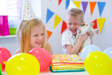 Fototapeta na wymiar Two blonde caucasian kids boy and girl having fun and laughing at birthday party. Colorful background with balloons and birthday rainbow cake. Playing with rabbit.