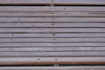 Textured surface of wooden boards with screws