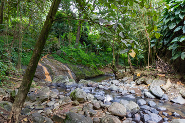 Grenada, West Indies - Annandale river