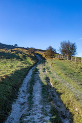 Obraz premium Looking up a chalk pathway on Kingston Ridge in the South Downs