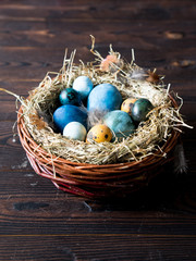 Nest with Easter colored eggs on wooden table