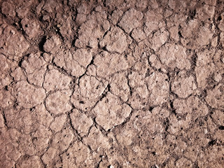 The ground has cracks in the top view for the background