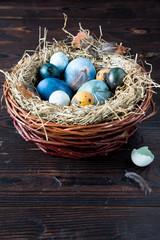 Nest with Easter colored eggs on wooden table