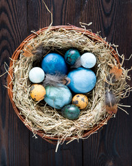 Nest with Easter colored eggs on wooden table