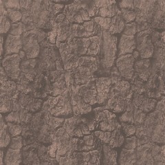 Fototapeta premium Brown background tree bark. Wallpaper 