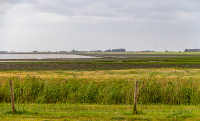 coastal scenery in Eastern Frisia