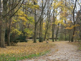 Arboretum de la Vallée-aux-Loups	