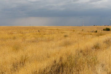 dry grass in the steppe, desert landscape, Kazakhstan, sky before a thunderstorm