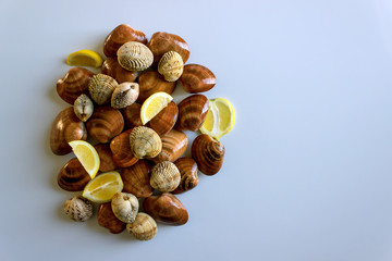 Fresh clams, raw cockles on a white table. Concept - Clean Monday, healthy food, aphrodisiac; Mediterranean Diet.