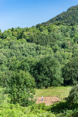 Fototapeta na wymiar France. Arriège. un épouvantail au milieu d'un champs cultivé et un bois. a scarecrow in the middle of a cultivated field and a forest.