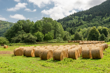 France. Arri&egrave;ge. Bottes de paille rondes dans un champs. Round bales of straw in a field.