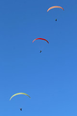 Paragliders flying wings in a blue sky