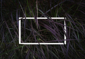 Flat lay, Creative layout dark green grass texture background with white square frame. Empty free space for design creative text, advertising. Nature concept