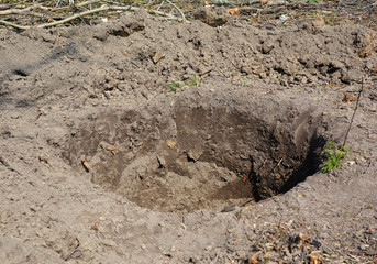 Planting hole.  Tree planting-hole preparation and soil improvement