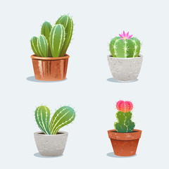 Set of four cactus in flower pot. Home plants. Vector Illustration