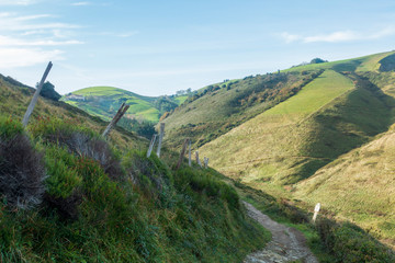 The green mountains of Zumaia in the Basque Country