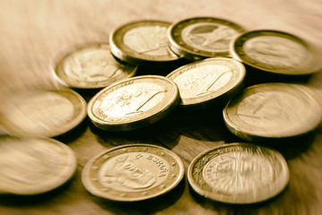 Several official currencies of the European Economic Union