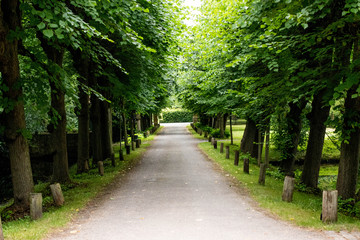  quiet street in the park