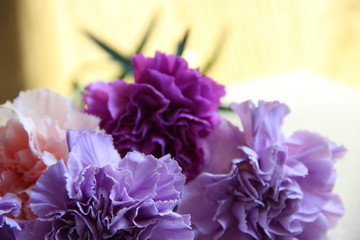 a small bouquet of flowers. lilac, purple, pink and mauve carnations in violet tones