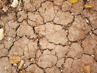 The ground has cracks in the top view for the background