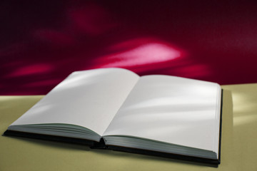 An open book on a table with spots of sunlight.