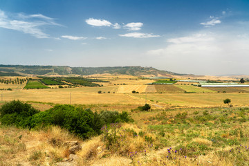 Rural landscape in Apulia at summer