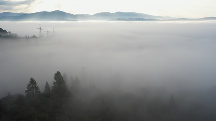 Aerial view of colorful mixed forest shrouded in morning fog on a beautiful autumn day