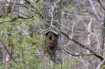 nest box of natural material