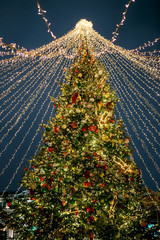 Moscow, Russia. Christmas tree on Manezhnaya Square - 317001524