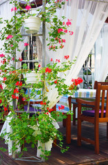 Flowers in pots on summer gazebo outdoor