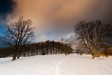 Trial in Snow in Carpathia Mountains at Winter Season