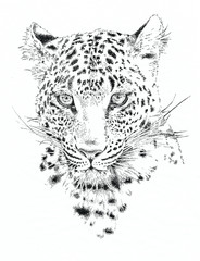 portrait of a leopard
