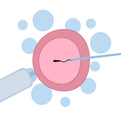 In Vitro Fertilization flat illustration. Human Fertilized Egg in Laboratory Petri Dish.