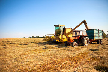 Fototapeta premium Agriculture traditionnelle en France.
