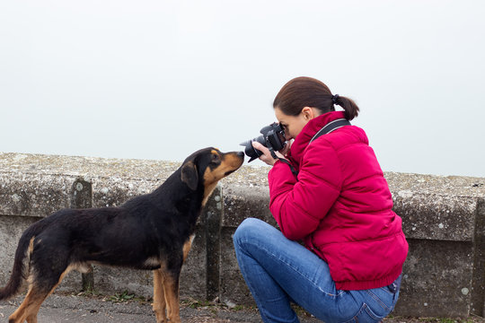 Stray dog curiously looking in the lens of the camera. Woman photographer taking pictures in thick fog by the riverside. Unexpected funny encounter.