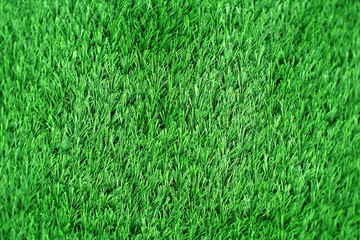 texture of grass field. green artificial grass background