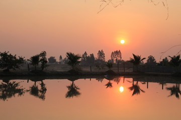  silhouette tree in asia with sunset.Tree silhouetted against a setting sun.Dark tree on open field dramatic sunrise and reflection in water.