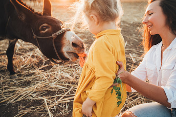 Mom and daughter feed and pet a donkey in a contact zoo.