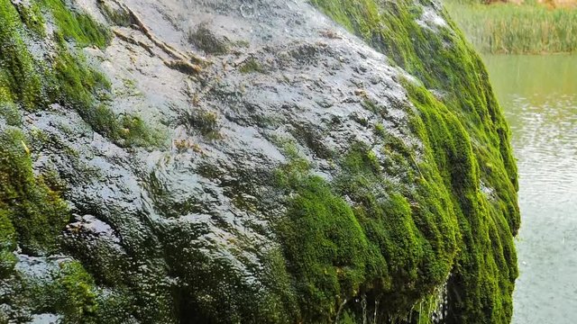 Fluir del agua sobre roca verde bajo cascada en c&aacute;mara lenta